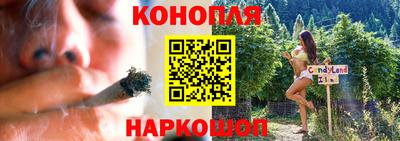 стаф Краснодар
