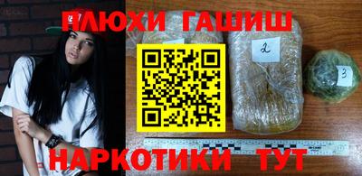 стаф Краснодар