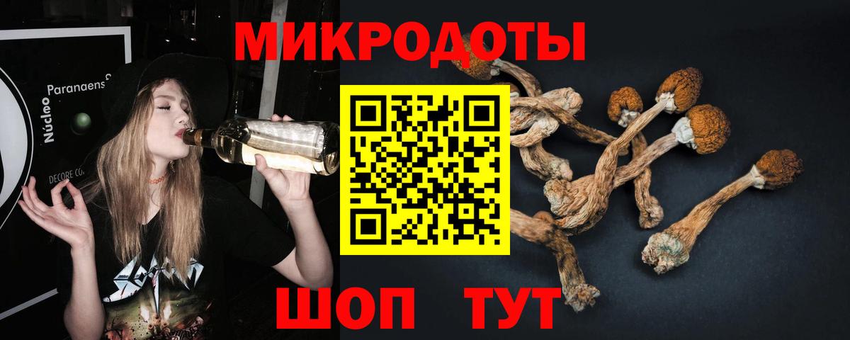 Псилоцибиновые грибы MAGIC MUSHROOMS  что такое   Кемерово  Вход с VPN  Псилоцибиновые грибы прущие грибы 