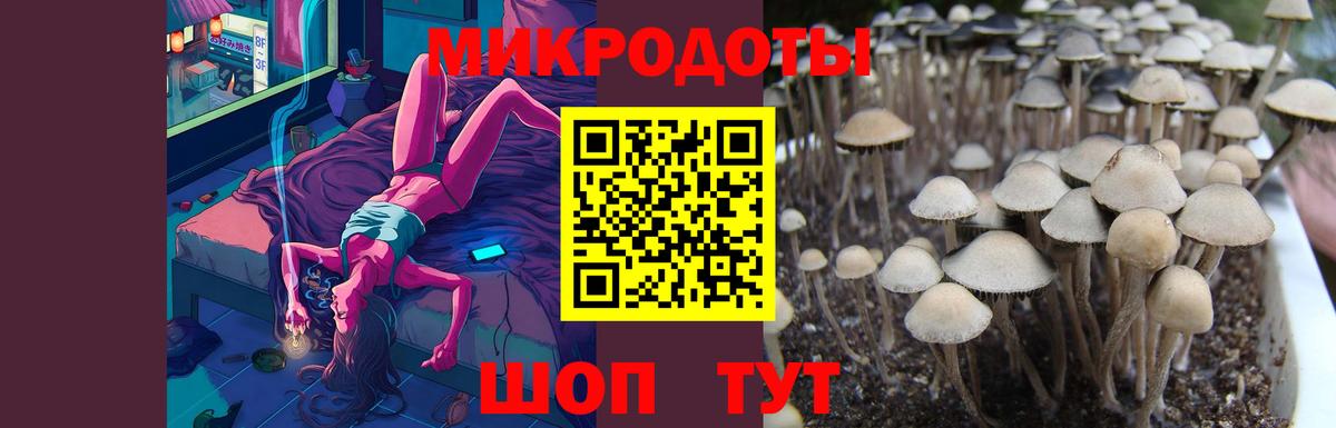 Псилоцибиновые грибы мухоморы Кемерово